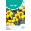 Bidens Golden Eye - Bidens Humilis -Aanbiedingen Intieme Eden Winkel bidens golden eye bidens humilis 1646840359 1034 600