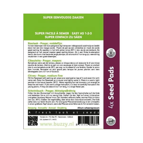 Bieslook Fijne - 4 Zaadpads 4 Bieslook Fijne - 4 Zaadpads - Afbeelding 2