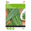 Bieslook Grove - Allium Fistulosum 1 Bieslook Grove - Allium Fistulosum -Aanbiedingen Intieme Eden Winkel bieslook grove allium fistulosum 1646840312 19 600