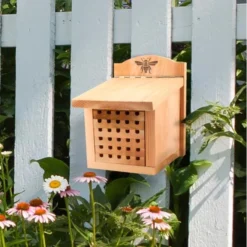 Bijenhuis Kubus -Aanbiedingen Intieme Eden Winkel bijenhuis kubus 1578488256 1 600