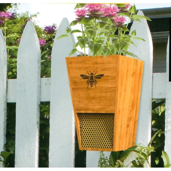 Bijenhuis En Bloembak: 2 In 1 3 Bijenhuis En Bloembak: 2 In 1
