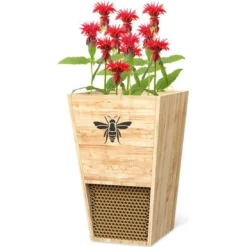 Bijenhuis En Bloembak: 2 In 1 13 Bijenhuis En Bloembak: 2 In 1 -Aanbiedingen Intieme Eden Winkel bijenhuis met bloemenbak 1578085280 1 600