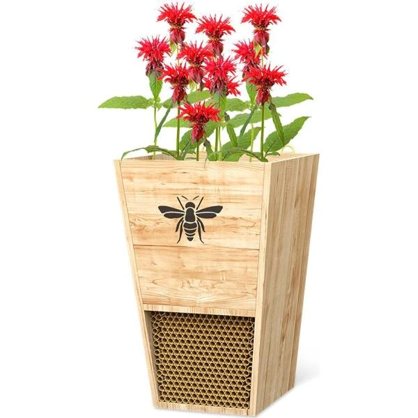 Bijenhuis En Bloembak: 2 In 1 8 Bijenhuis En Bloembak: 2 In 1 - Afbeelding 6