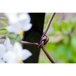 Bindbuis Elastisch Ø 2,5 Mm - Bruin 40 M -Aanbiedingen Intieme Eden Winkel bindbuis bruin 135 g 1484066131 2 600