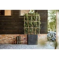 CAPI Bloembak Vierkant Rib NL 50 × 50 × 50 Cm - Zwart -Aanbiedingen Intieme Eden Winkel bloembak rib 50x50x50cm zwart 1636384451 2 600