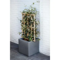 CAPI Bloembak Vierkant Smooth NL 30 × 30 × 30 Cm - Grijs -Aanbiedingen Intieme Eden Winkel bloembak smooth 30x30x30cm grijs 1636982393 2 600