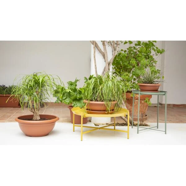 Bloemenschaal Venezia 50 Cm - Terracotta 4 Bloemenschaal Venezia 50 Cm - Terracotta - Afbeelding 2