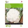 Bloemkool Alpha - Brassica Oleracea -Aanbiedingen Intieme Eden Winkel bloemkool alpha brassica oleracea 1646840315 93 600