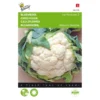 Bloemkool Herfstreuzen 2 - Brassica Oleracea 1 Bloemkool Herfstreuzen 2 - Brassica Oleracea -Aanbiedingen Intieme Eden Winkel bloemkool herfstreuzen 2 brassica oleracea 1646840315 95 600