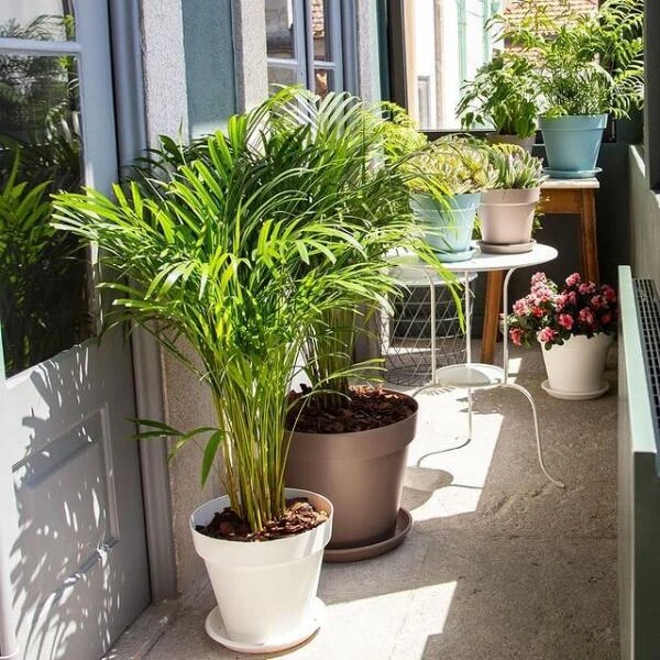 Bloempot Capri 14 Cm - Taupe 4 Bloempot Capri 14 Cm - Taupe - Afbeelding 2