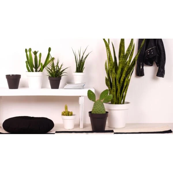 Bloempot Capri 14 Cm - Wit 4 Bloempot Capri 14 Cm - Wit - Afbeelding 2