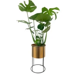 Bloempot Goud Met Staander - Ø 18,5 X 31 Cm -Aanbiedingen Intieme Eden Winkel bloempot goud met staander 1612522436 2 600