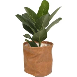 Bloempot Juna Cognac - Ø 19 × 19 Cm -Aanbiedingen Intieme Eden Winkel bloempot juna cognac 19 cm 1614003582 1 600