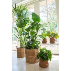 Bloempot Juna Cognac - Ø 19 × 19 Cm -Aanbiedingen Intieme Eden Winkel bloempot juna cognac 19 cm 1614003582 2 600