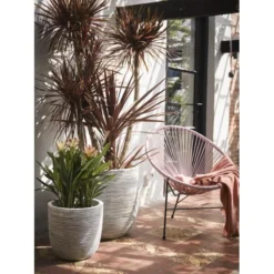 CAPI Bloempot Bol Rib NL 55 × 53 Cm - Ivoor 5 CAPI Bloempot Bol Rib NL 55 × 53 Cm - Ivoor -Aanbiedingen Intieme Eden Winkel bloempot rib 55x53cm ivoor 1636977516 1 600