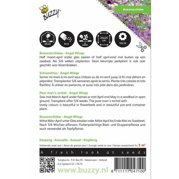 Boerenorchidee Angel Wings - Schizanthus Sinuata Wisetonensis 4 Boerenorchidee Angel Wings - Schizanthus Sinuata Wisetonensis - Afbeelding 2