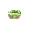Box Healthy Herb - Bieslook 2 Box Healthy Herb - Bieslook -Aanbiedingen Intieme Eden Winkel box healthy herb bieslook 1640857122 1 600
