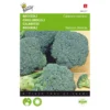 Broccoli Groene Calabria - Brassica Oleracea -Aanbiedingen Intieme Eden Winkel broccoli groene calabria brassica oleracea 1646840316 99 600