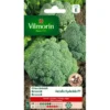 Broccoli Verdia HF1 1 Broccoli Verdia HF1 -Aanbiedingen Intieme Eden Winkel broccoli verdia hf1 1646839534 156 600