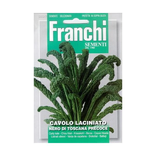 Cavolo Laciniato Nero Di Toscana - Bladkool 3 Cavolo Laciniato Nero Di Toscana - Bladkool