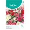 Chinese Anjer Mix - Dianthus Chinensis -Aanbiedingen Intieme Eden Winkel chinese anjer mix dianthus chinensis 1646840360 1066 600