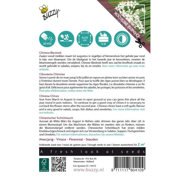 Chinese Bieslook - Allium Tuberosum 4 Chinese Bieslook - Allium Tuberosum - Afbeelding 2