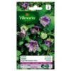 Cobea Klimmende - Cobea Scandens -Aanbiedingen Intieme Eden Winkel cobea klimmende cobea scandens 1646839547 242 600