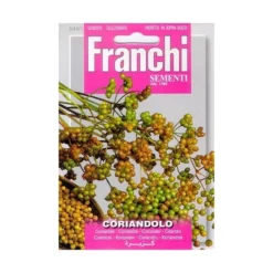 Coriandolo - Koriander