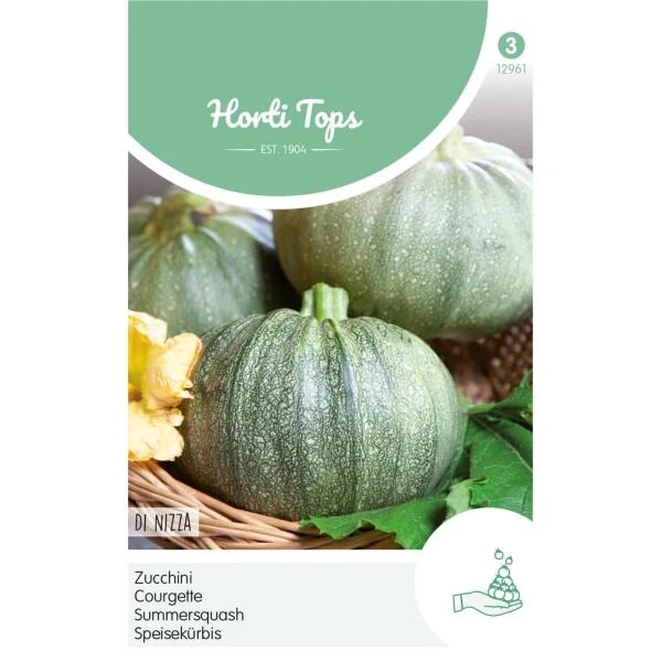 Courgette - Zucchini De Nice - Cucurbita Pepo 3 Courgette - Zucchini De Nice - Cucurbita Pepo