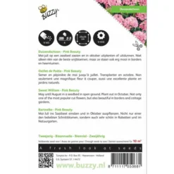 Dianthus Barbatus Pink Beauty -Aanbiedingen Intieme Eden Winkel dianthus barbatus pink beauty 1646840334 504 600