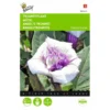 Doornappel - Datura Metel 2 Doornappel - Datura Metel -Aanbiedingen Intieme Eden Winkel doornappel datura metel 1646840345 706 600