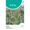 Dropplant - Agastache Mexicana -Aanbiedingen Intieme Eden Winkel dropplant agastache mexicana 1646840359 1024 600