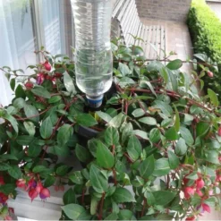 Druppelsysteem Voor Op Flessen -Aanbiedingen Intieme Eden Winkel druppelaar flessen 1559386121 1 600