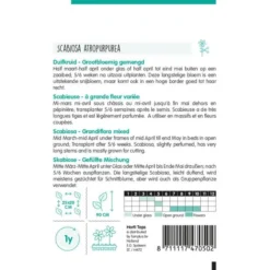 Duifkruid - Scabiosa Atropurpurea 5 Duifkruid - Scabiosa Atropurpurea -Aanbiedingen Intieme Eden Winkel duifkruid scabiosa atropurpurea 1646840364 1147 600