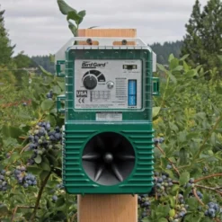 Vogelverjager Tegen Duiven - Weitech -Aanbiedingen Intieme Eden Winkel duivenverjager professioneel 1484054962 3 600
