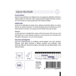 Duizendblad - Achillea Millefolium 5 Duizendblad - Achillea Millefolium -Aanbiedingen Intieme Eden Winkel duizendblad achillea millefolium 1646840346 739 600