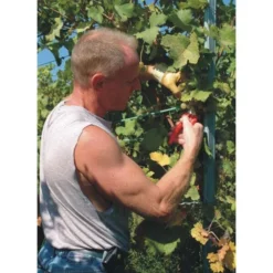 Dunschaar Felco 310 - Bloemen En Vruchten -Aanbiedingen Intieme Eden Winkel dunschaar felco 310 bloemen en vruchten 1517234455 2 600