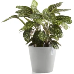 ECOPOTS Amsterdam - Witgrijs Ø 40 Cm -Aanbiedingen Intieme Eden Winkel ecopot amsterdam 40 cm whitestone 1531211723 2 600