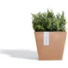 ECOPOTS Rotterdam - Terracotta 20 Cm -Aanbiedingen Intieme Eden Winkel ecopot bluestone 20 x 20 x 18 cm 1525205072 1 600