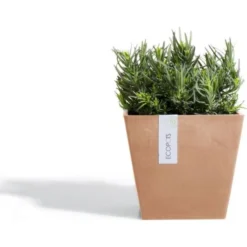 ECOPOTS Rotterdam - Terracotta 40 Cm 6 ECOPOTS Rotterdam - Terracotta 40 Cm -Aanbiedingen Intieme Eden Winkel ecopot whitestone 40 x 40 x 36 cm 1525287517 2 600