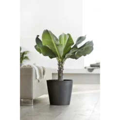 ECOPOTS Amsterdam - Antraciet Ø 50 Cm -Aanbiedingen Intieme Eden Winkel ecopots amsterdam antraciet 50 cm 1594198093 1 600
