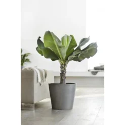 ECOPOTS Amsterdam - Grijs Ø 40 Cm -Aanbiedingen Intieme Eden Winkel ecopots amsterdam grijs 40 cm 1594197928 1 600