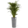 ECOPOTS Amsterdam High XL - Grijs 76 Cm -Aanbiedingen Intieme Eden Winkel ecopots amsterdam high xl grijs 76 cm 1613138413 2 600