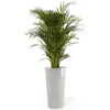 ECOPOTS Amsterdam High XL - Witgrijs 76 Cm -Aanbiedingen Intieme Eden Winkel ecopots amsterdam high xl witgrijs 76 cm 1613140599 1 600