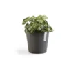 ECOPOTS Amsterdam Mini - Antraciet Ø 17 Cm -Aanbiedingen Intieme Eden Winkel ecopots amsterdam mini antraciet 17 cm 1594043139 1 600