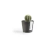 ECOPOTS Amsterdam Mini - Antraciet Ø 8 Cm -Aanbiedingen Intieme Eden Winkel ecopots amsterdam mini antraciet 8 cm 1594042237 2 600