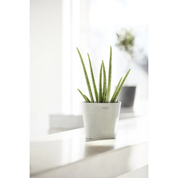 ECOPOTS Amsterdam Mini - Witgrijs Ø 8 Cm 6 ECOPOTS Amsterdam Mini - Witgrijs Ø 8 Cm - Afbeelding 4