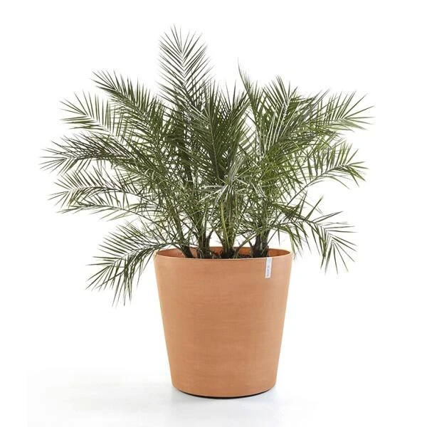 ECOPOTS Amsterdam Op Wielen - Terracotta Ø 60 Cm 3 ECOPOTS Amsterdam Op Wielen - Terracotta Ø 60 Cm