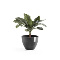 ECOPOTS Antwerp - Antraciet Ø 50 Cm -Aanbiedingen Intieme Eden Winkel ecopots antwerp antraciet 50 cm 1672157128 3 600