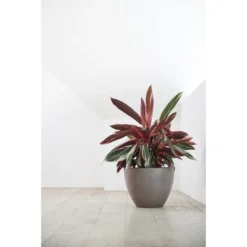 ECOPOTS Antwerp - Taupe Ø 50 Cm 8 ECOPOTS Antwerp - Taupe Ø 50 Cm -Aanbiedingen Intieme Eden Winkel ecopots antwerp taupe 50 cm 1672750675 3 600